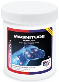 Magnitude (1 kg)